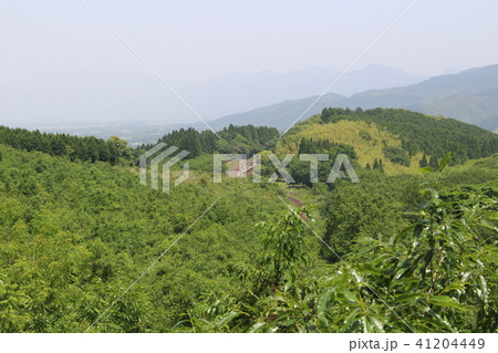 大畑のループ線とスイッチバック　肥薩線大畑駅　熊本県　九州 41204449