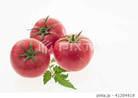 トマト トマト 41204919