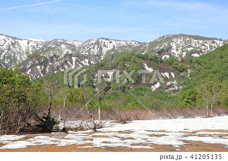 月山志津地区の春 月山志津地区の春 41205135