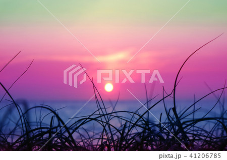 blur sunset sea silhouette grass beach colorful blur sunset sea silhouette grass beach colorful 41206785