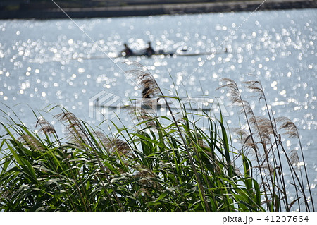 琵琶湖漕艇場 41207664