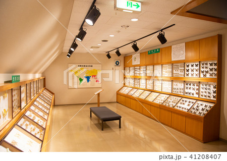 北海道当麻町 パピヨンシャトー 北海道当麻町 パピヨンシャトー 41208407