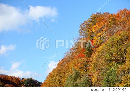 秋の里山 紅葉 秋の里山 紅葉 41209192