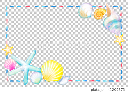 Seashell postcard 2 41209873