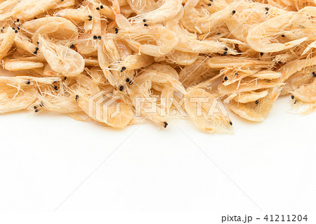 干し海老: Dried boiled shrimp 干し海老: Dried boiled shrimp 41211204