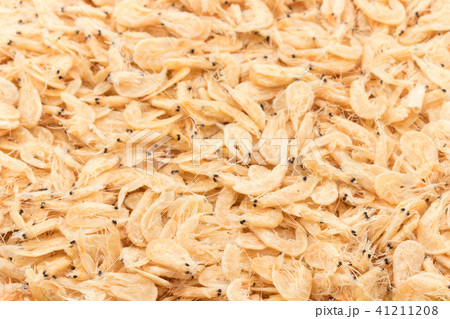 干し海老: Dried boiled shrimp 41211208