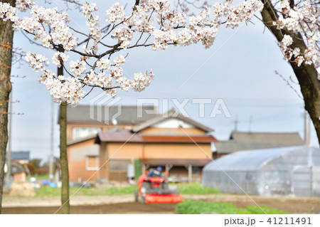 桜と農作業イメージ 桜と農作業イメージ 41211491