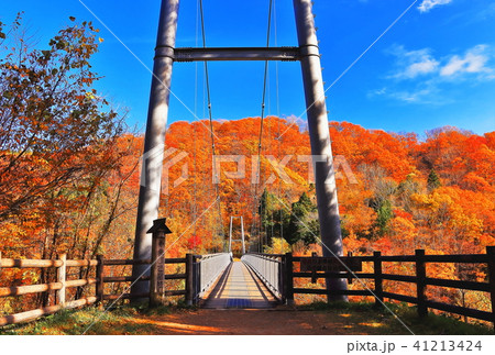 やまびこ吊橋と鮮やかな紅葉 やまびこ吊橋と鮮やかな紅葉 41213424