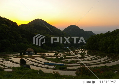 石部棚田夕景 石部棚田夕景 41213947