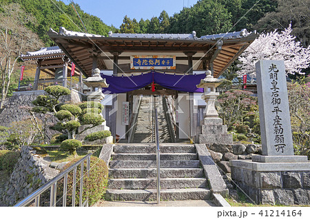 【阿弥陀寺】 大阪府和泉市大野町118 41214164