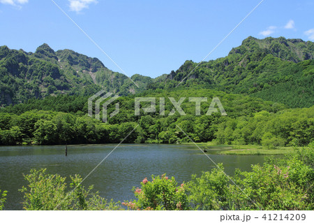 戸隠高原　初夏の鏡池 41214209