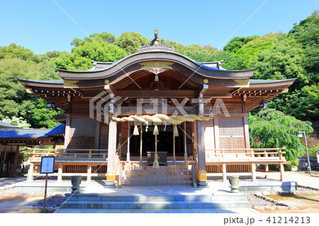 新緑の春日神社　福岡県春日市春日 41214213