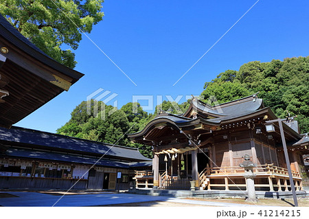新緑の春日神社 福岡県春日市春日 新緑の春日神社 福岡県春日市春日 41214215