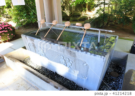 新緑の春日神社　福岡県春日市春日 41214218