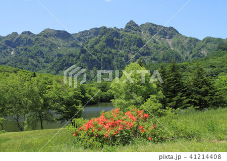 戸隠高原　初夏の鏡池 41214408