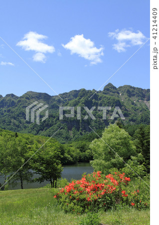 戸隠高原　初夏の鏡池 41214409