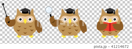 Owl teacher set 41214672