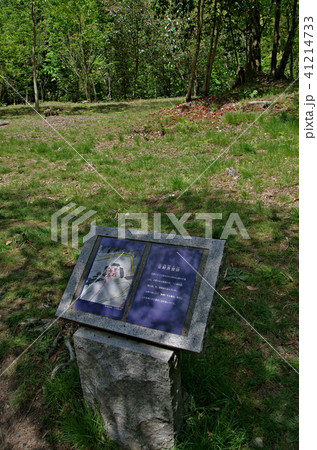 苗木城跡 41214733