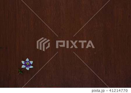 ブラウンの板と紫の花、背景素材 41214770