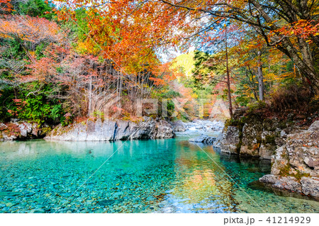 阿寺渓谷（１１月） 41214929