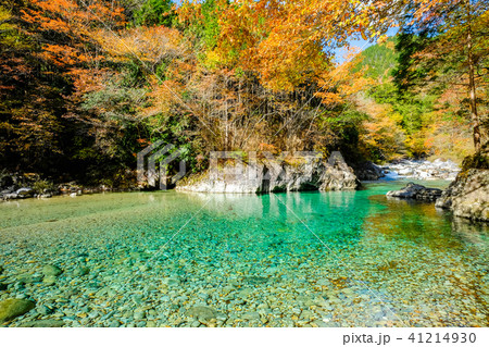 阿寺渓谷（１１月） 41214930