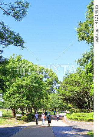 池のある公園_春日公園(福岡県春日市) 池のある公園_春日公園(福岡県春日市) 41214985