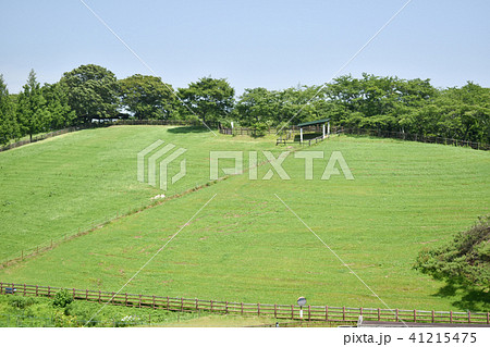鞍ヶ池公園 41215475