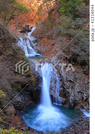紅葉の七ツ釜五段の滝（西沢渓谷） 41216044