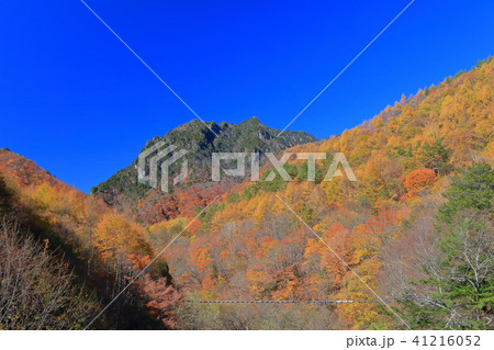 錦秋の西沢渓谷 41216052