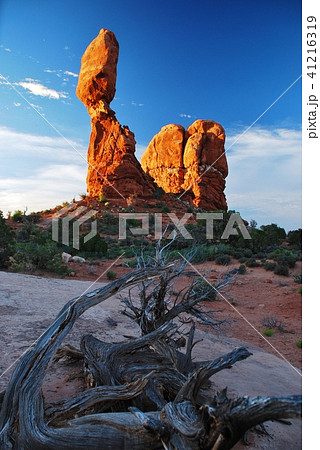 Arches National park 41216319