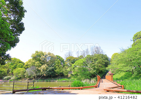 上散田池　春日市奴国の丘歴史公園 41216482