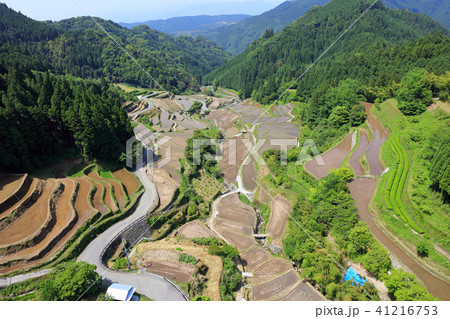 水張、代掻き中のつづら棚田(福岡県うきは市) 水張、代掻き中のつづら棚田(福岡県うきは市) 41216753