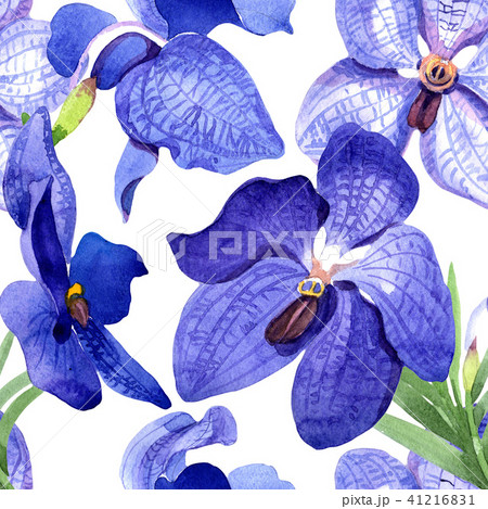 Orchid blue vanda. Seamless background pattern. Fabric wallpaper print texture. 41216831