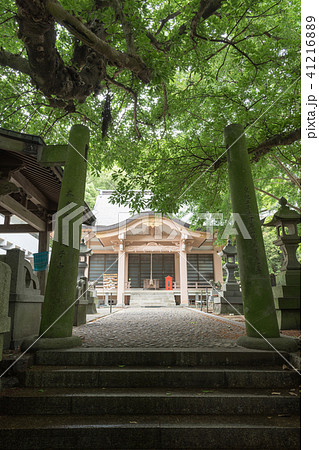 奈良尾神社 奈良尾神社 41216889
