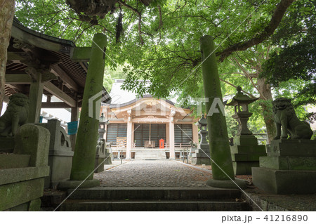 奈良尾神社 41216890