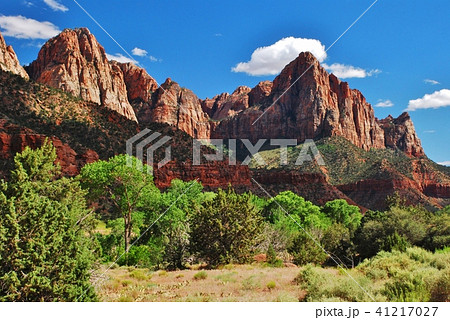 Zion National park 41217027