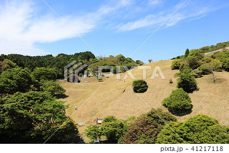基山(きざん)草スキー(佐賀県三養基郡基山町_福岡県筑紫野市) 基山(きざん)草スキー(佐賀県三養基郡基山町_福岡県筑紫野市) 41217118