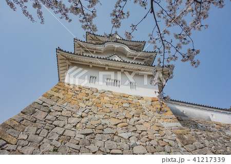 桜の明石城の櫓 41217339