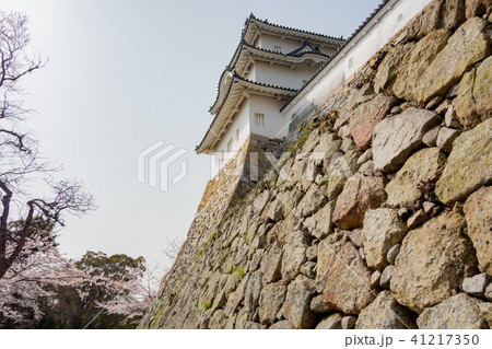 桜の明石城の櫓 桜の明石城の櫓 41217350
