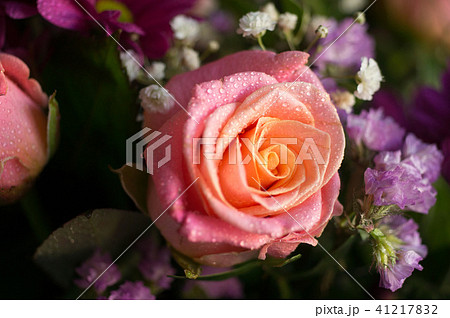 pink and yellow rose in beautiful bouquet.  41217832