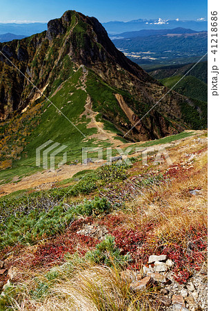 八ヶ岳連峰 赤岳直下の紅葉と阿弥陀岳 北アルプス遠望の写真素材