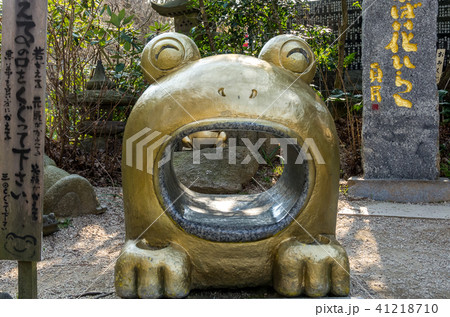 かえる寺 41218710