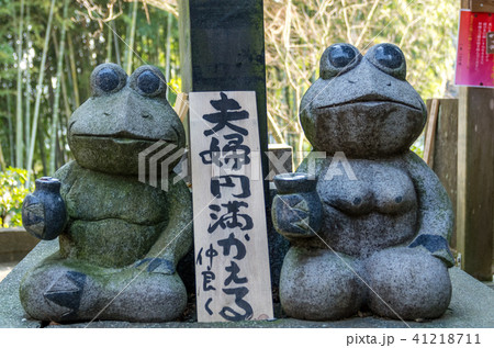 かえる寺 41218711