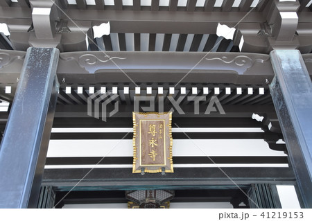 新緑　法多山尊永寺　袋井市 41219153