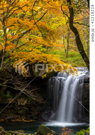 紅葉のマゼノ滝 41219219