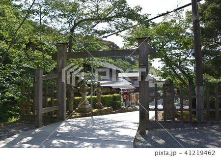 新緑　法多山尊永寺　袋井市 41219462