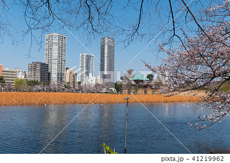 Ueno Park Ueno Park 41219962