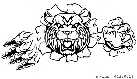 Wildcat Angry Mascot Background Claws Breakthrough 41220613