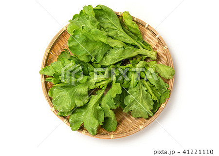 大葉春菊 41221110