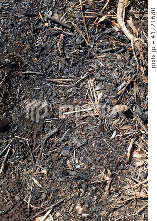 野焼きした後の地面 41221680